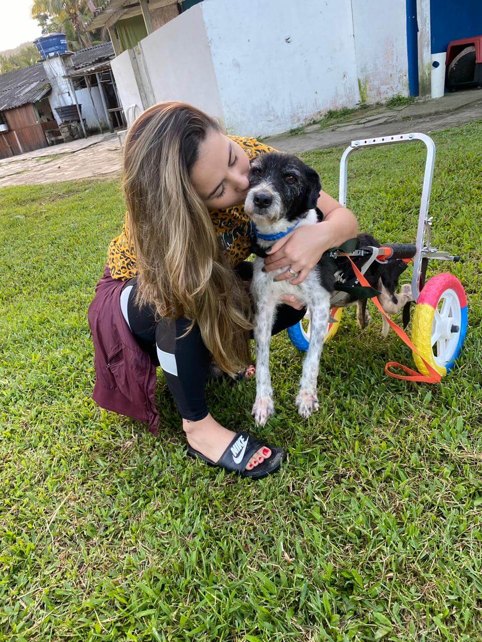 Comunidade WhatsApp