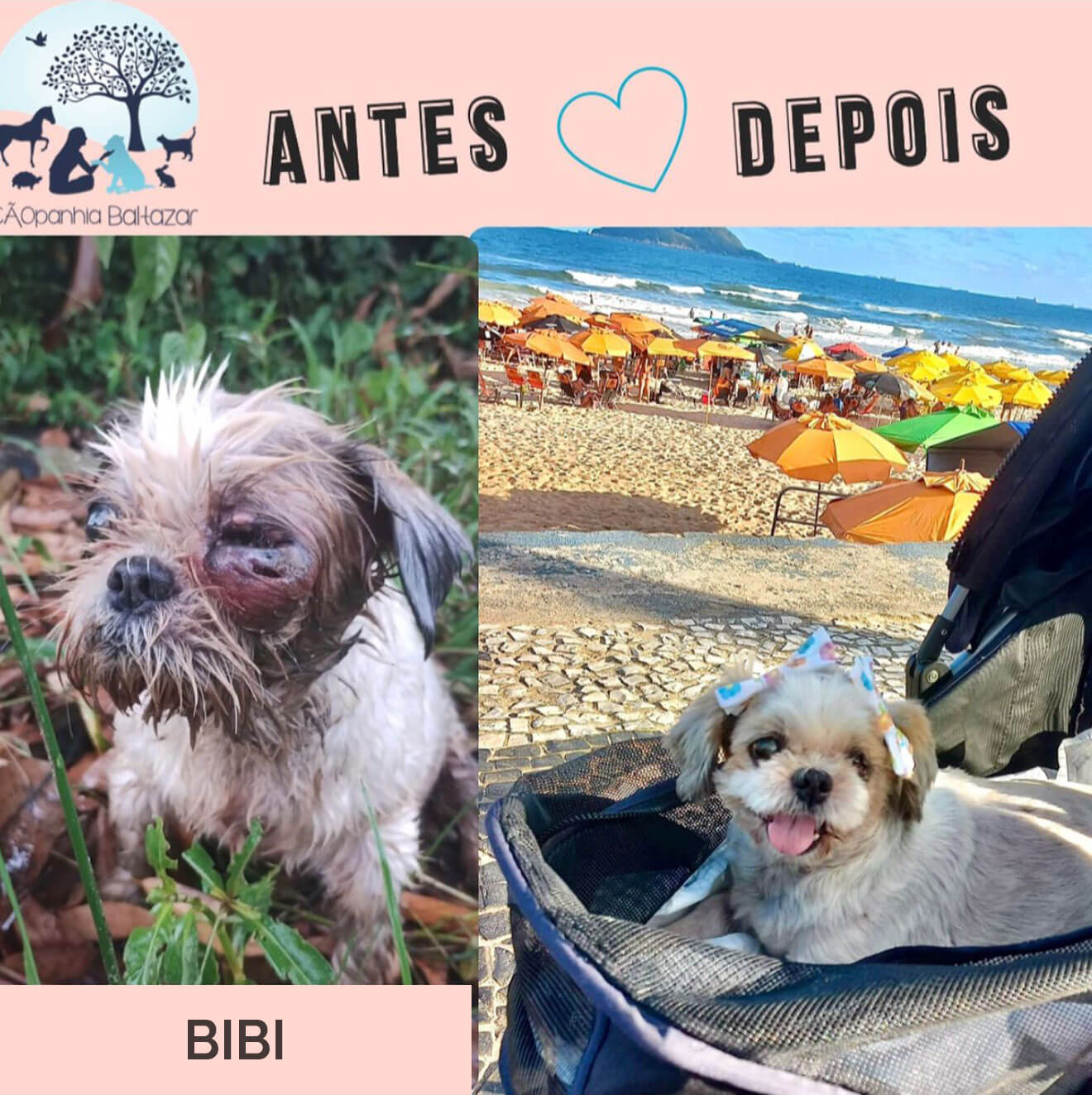 Bibi